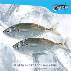 Скумбрия короткотелая замороженная