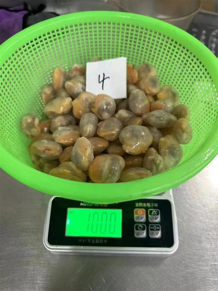 Frozen Blood Clam Meat
