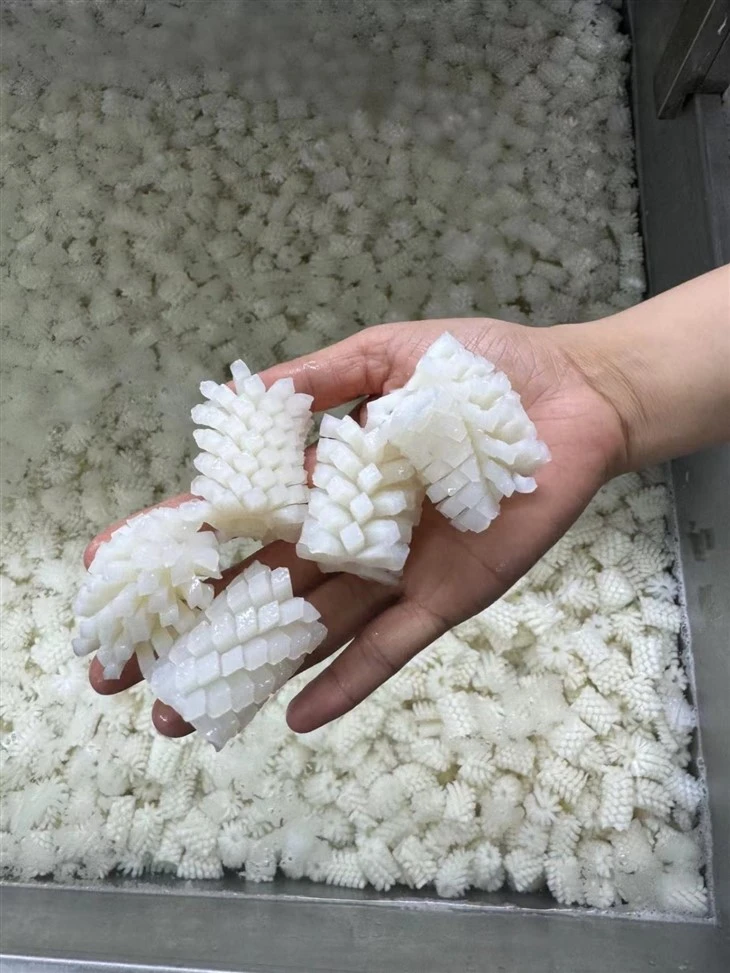 Frozen Squid Pineapple Flower