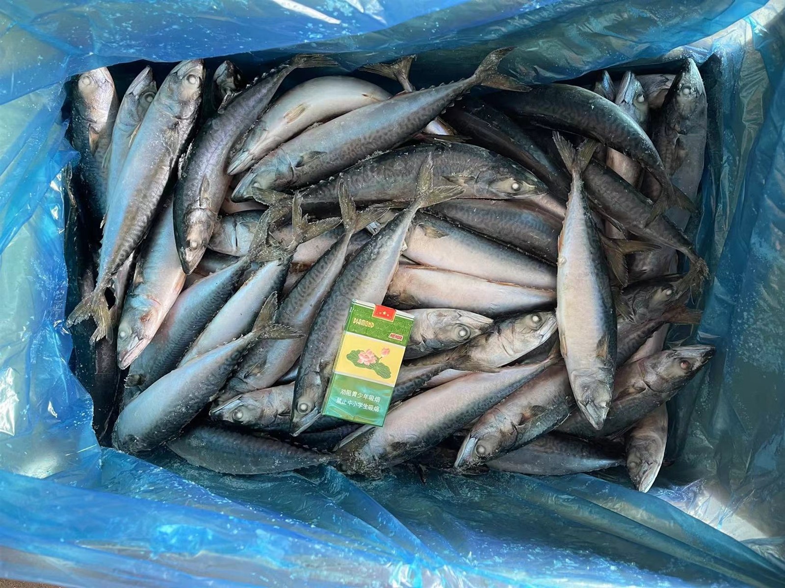 38700cfc0b59b69f76d31a4a58bd332 38700cfc0b59b69f76d31a4a58bd332