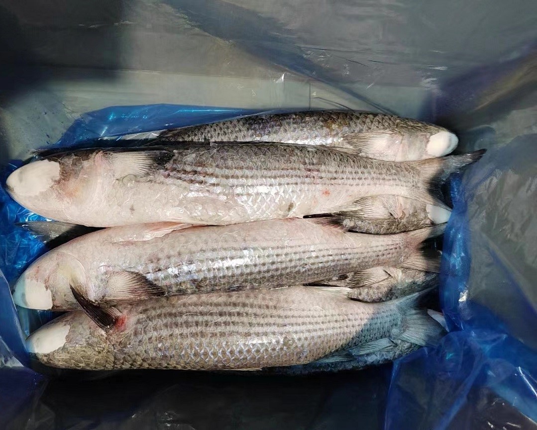 2c5f12f1333dd7b2ea1872f7c75e8ab 2c5f12f1333dd7b2ea1872f7c75e8ab