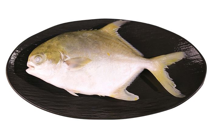 p7 p7