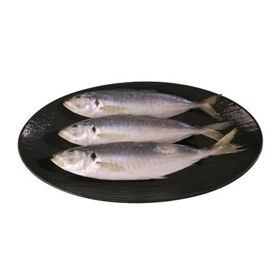 Замороженная рыба селар